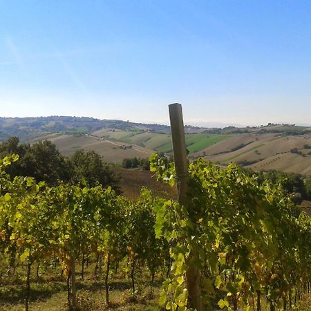 Agriturismo Le Vigne แฟร์โม ภายนอก รูปภาพ