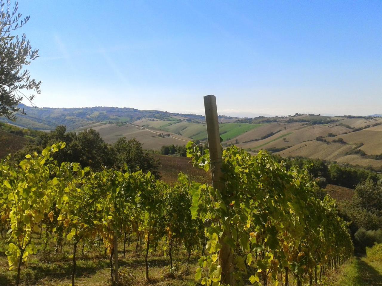 Agriturismo Le Vigne แฟร์โม ภายนอก รูปภาพ